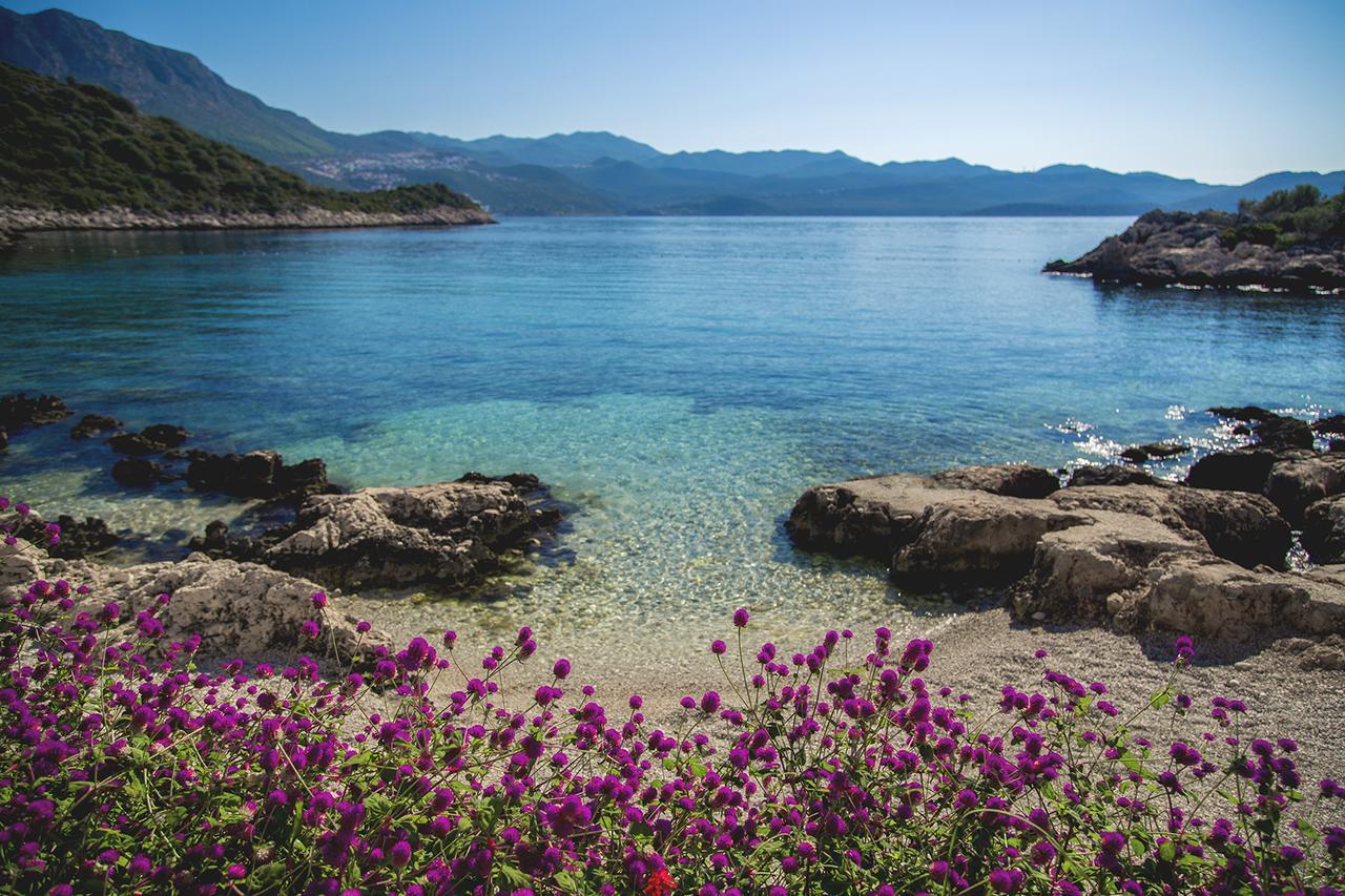 Blanca * Kaş